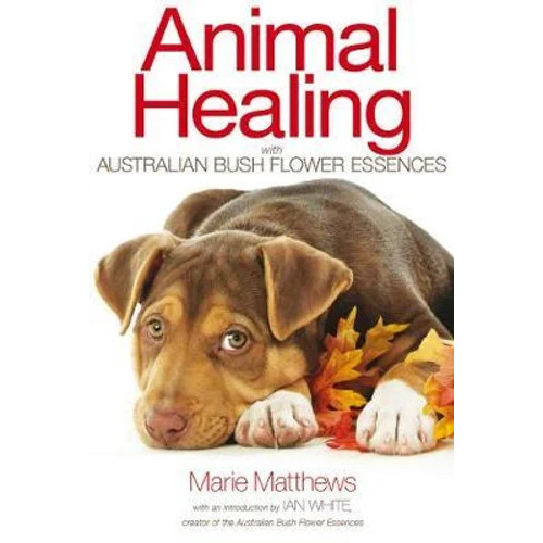 CLEARANCE Animal Healing with Australian Bush Flower Essences